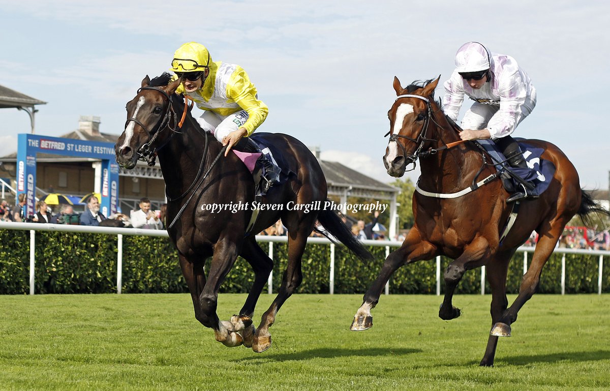 3rd win for gelding MAXIMILIAN CAESAR <a href="/SC_Cherchi/">Stefano Cherchi</a> in 10f 3yo handicap <a href="/DoncasterRaces/">Doncaster Racecourse</a> today for <a href="/coolmorestud/">Coolmore</a> Holy Roman Emperor <a href="/MarcoBotti/">Marco Botti Racing</a>
