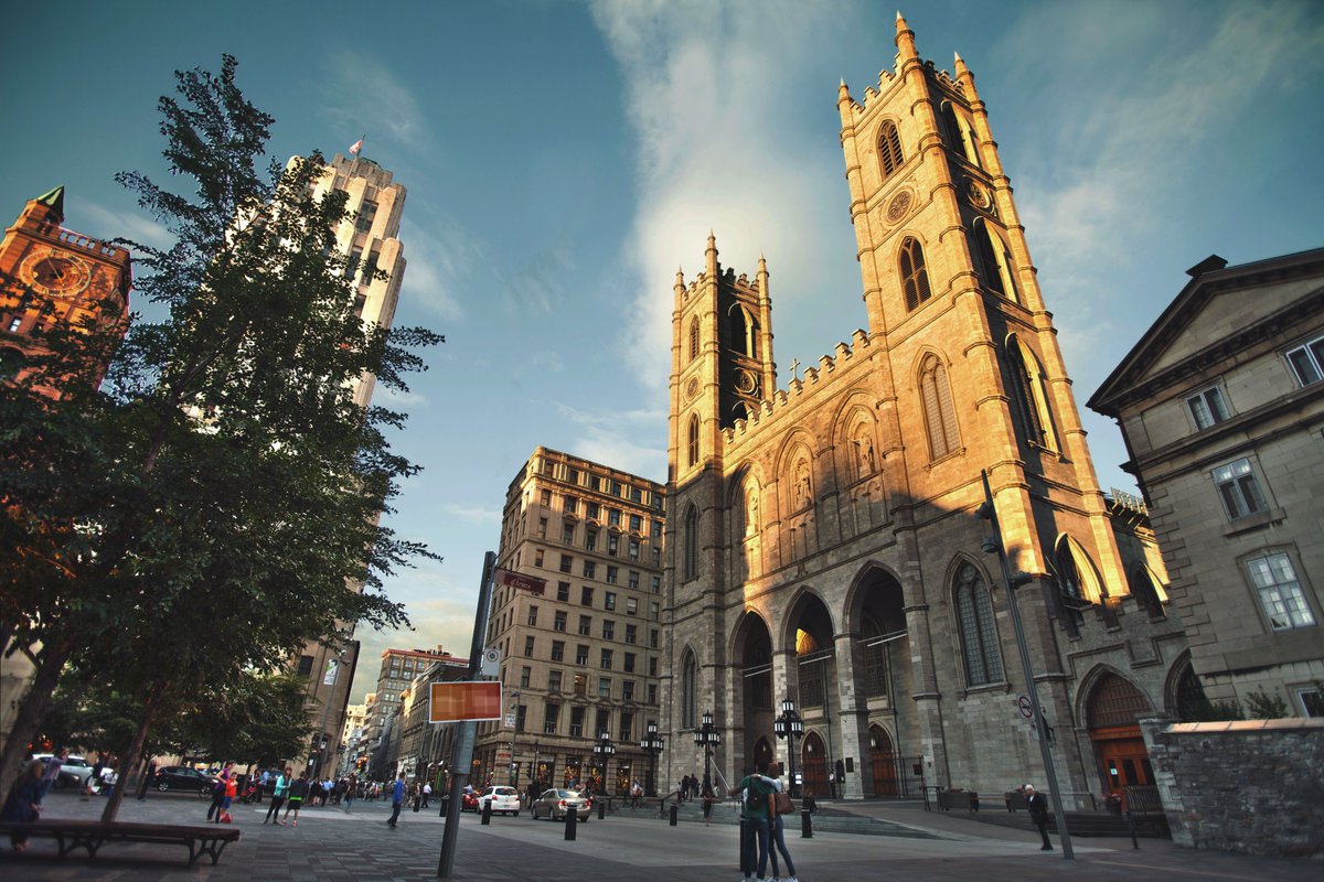 Montreal's tweet photo. The iconic Notre-Dame Basilica of Montréal. ⛪️

📷 Taki Eddine Alimat #montreal https://t.co/Hml9LKd2iM