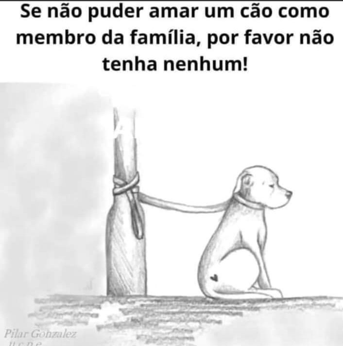 Je Soares (@jcfrsoares) on Twitter photo 