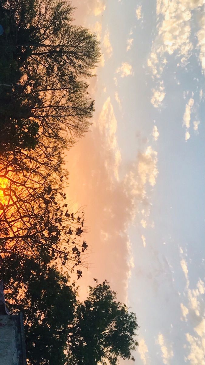 This type of sun set  hits different ✨