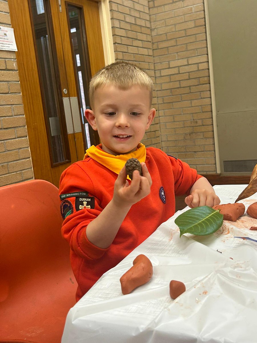 3rdwashscouts's tweet photo. From hedgehogs to unicorns, our Squirrels have made them all tonight! I think even our leader team had fun getting involved too.
#CoolClayCreations #fuelledByImagination #GetInvoled #FunForAll #LeadingByExample https://t.co/s6MundEUv4