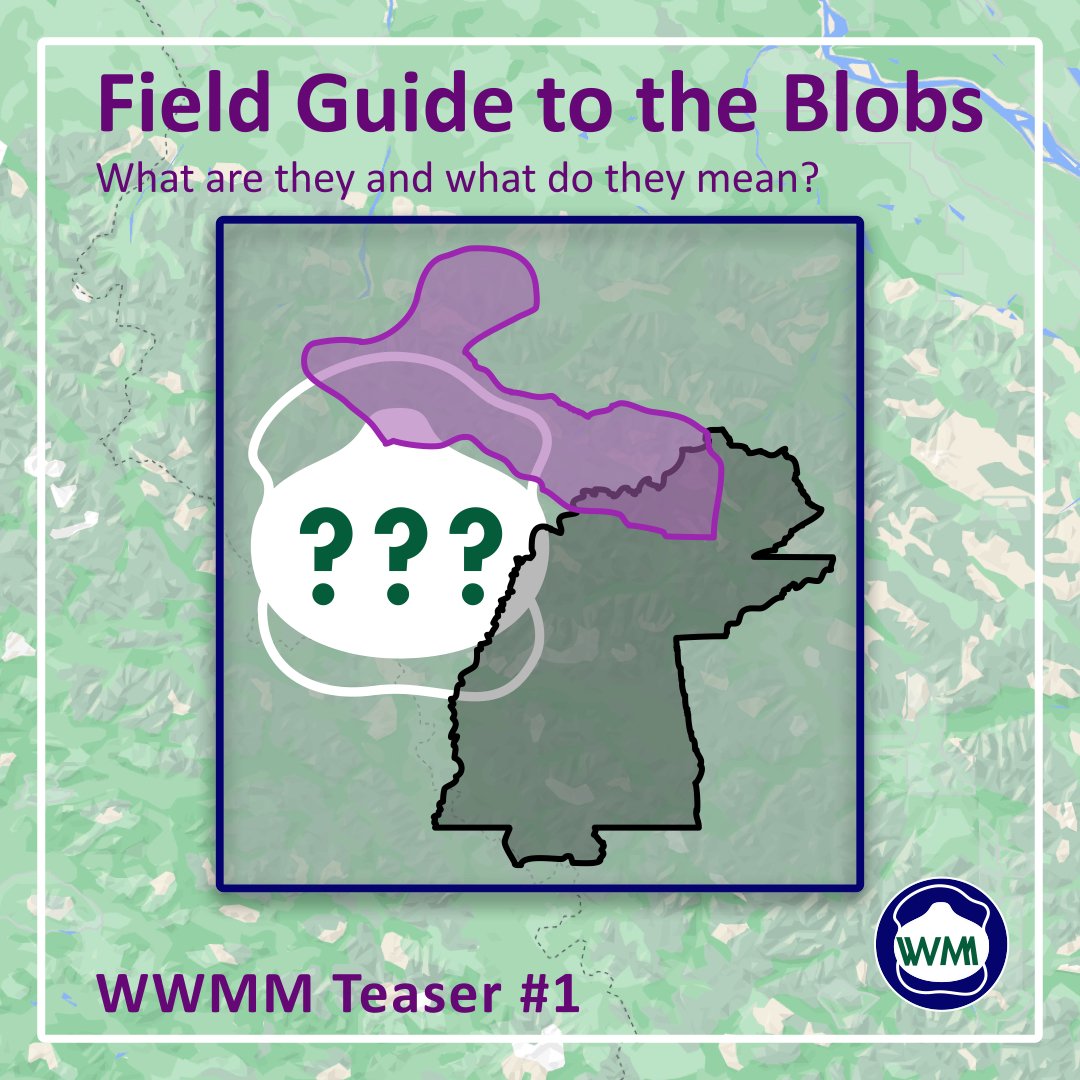 WorldMaskMap's tweet photo. We know you're probably almost as antsy to see the map as we are to show it off. 

But we still need a lot of approvals before it's much worth seeing. 

(Hint hint: If your group wants a pin, hit our DMs!)

So today, an explainer about one of our favorite features: The Blobs!

🧵 https://t.co/etQmasAHAG