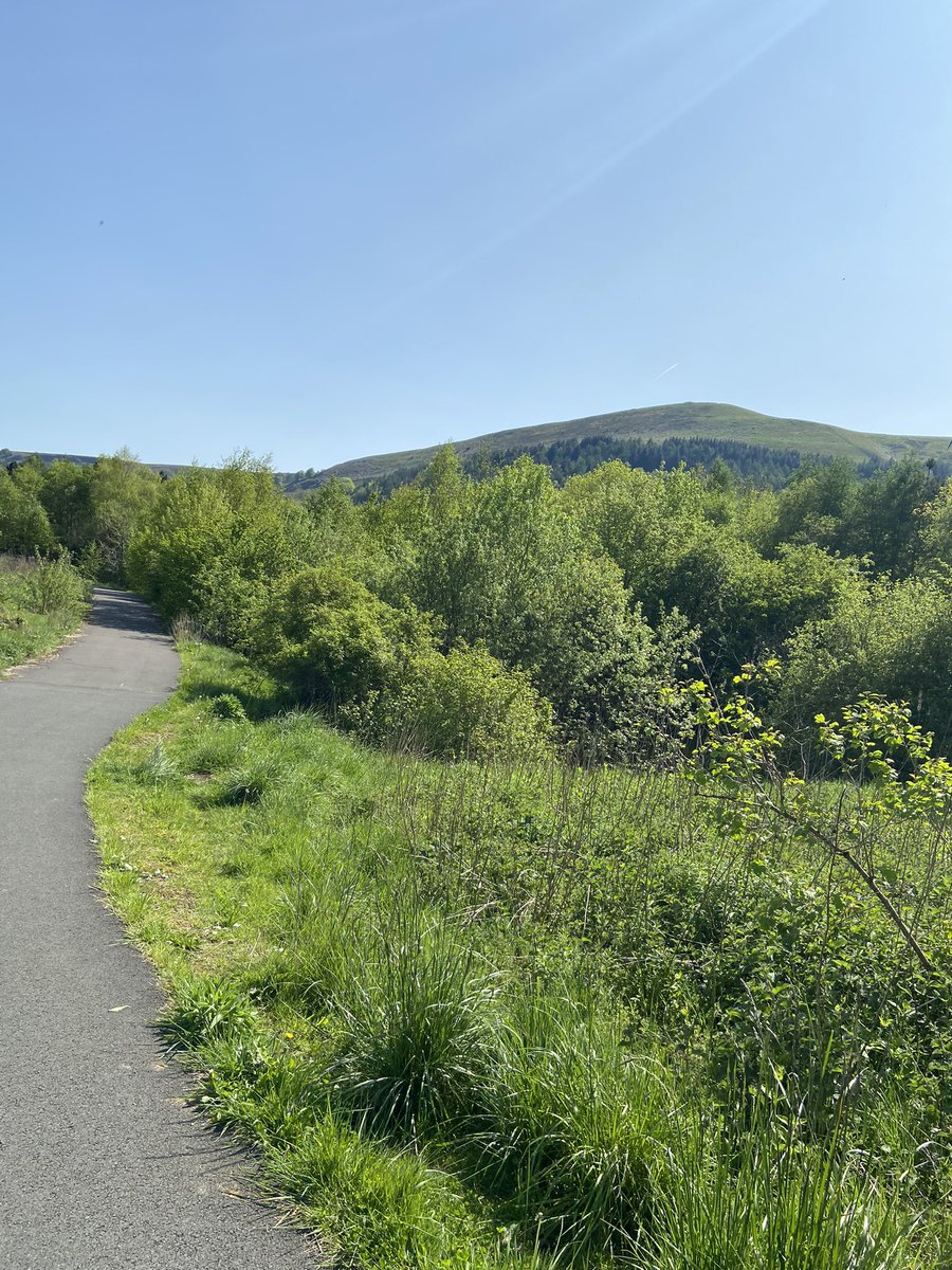 AMKillick's tweet image. When the sun is shining walking your dog in Wales is lovely.