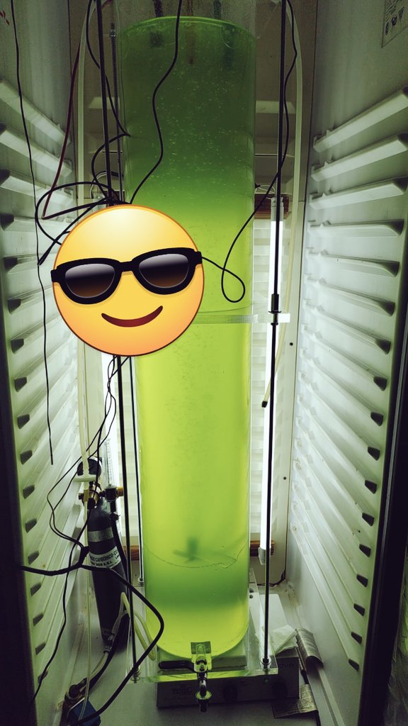vickybusi's tweet photo. Fotobiorreactor desarrollado en CEFOBI. Nos permitirá escalar hasta 50 litros. Diseño de las Dras. Barchiesi y Velazquez. Aporte invaluable del Ing. Maccalini. Vamos por más! https://t.co/IhOP1wd8hW