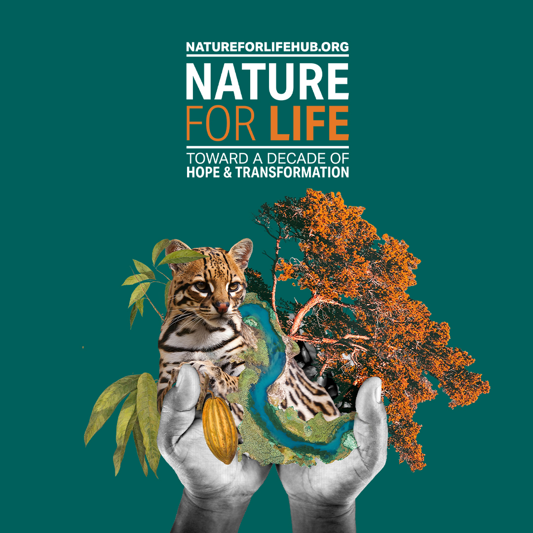 🌿📷 Explore, Connect, and Make a Difference at the Nature For Life Hub 2023!   

Register for updates: bit.ly/NfL_Hub2023 

Join the conversation at #NatureForLife.