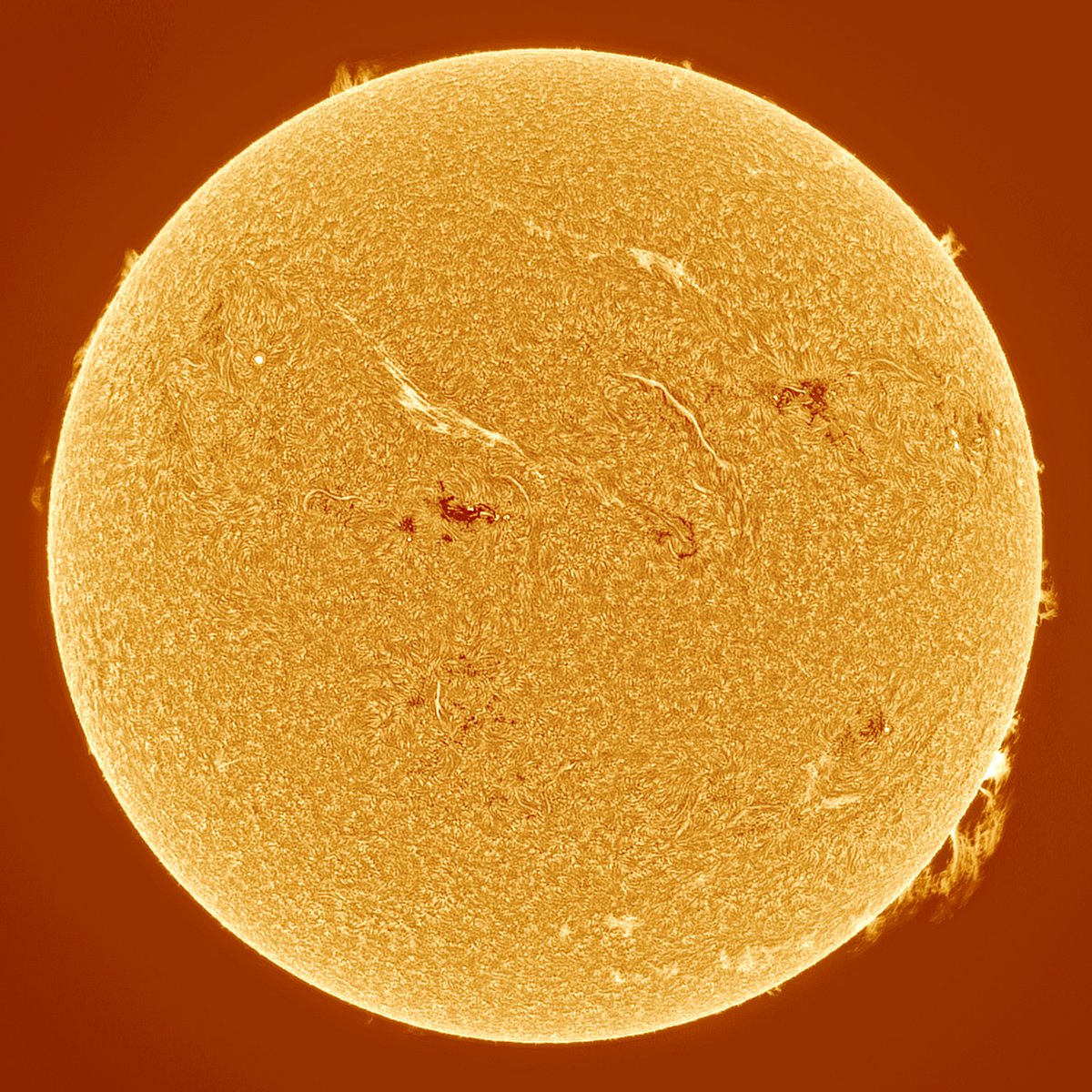 AstroFrog83's tweet photo. Today's sun, 2023/09/14, 19:00 UT. Beautiful prominence on the southwest limb! https://t.co/cQSnEP9MMp