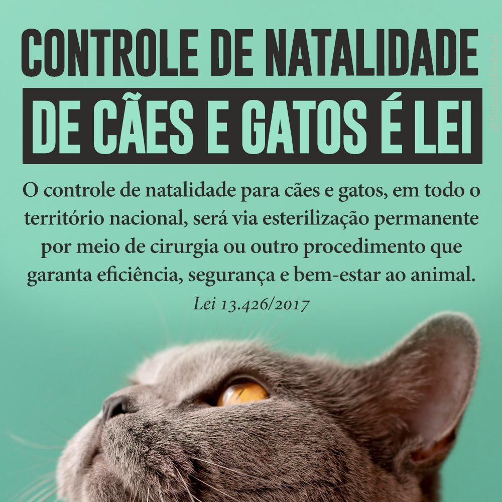 Senado Federal tweet media