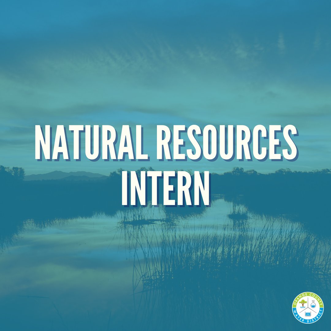ocwaterdistrict's tweet image. We’re hiring! Visit ocwd.com/careers to view positions and apply. 💼General Manager 📷Plant Operator I, II, III (nights) 📷Natural Resources Intern 🦆