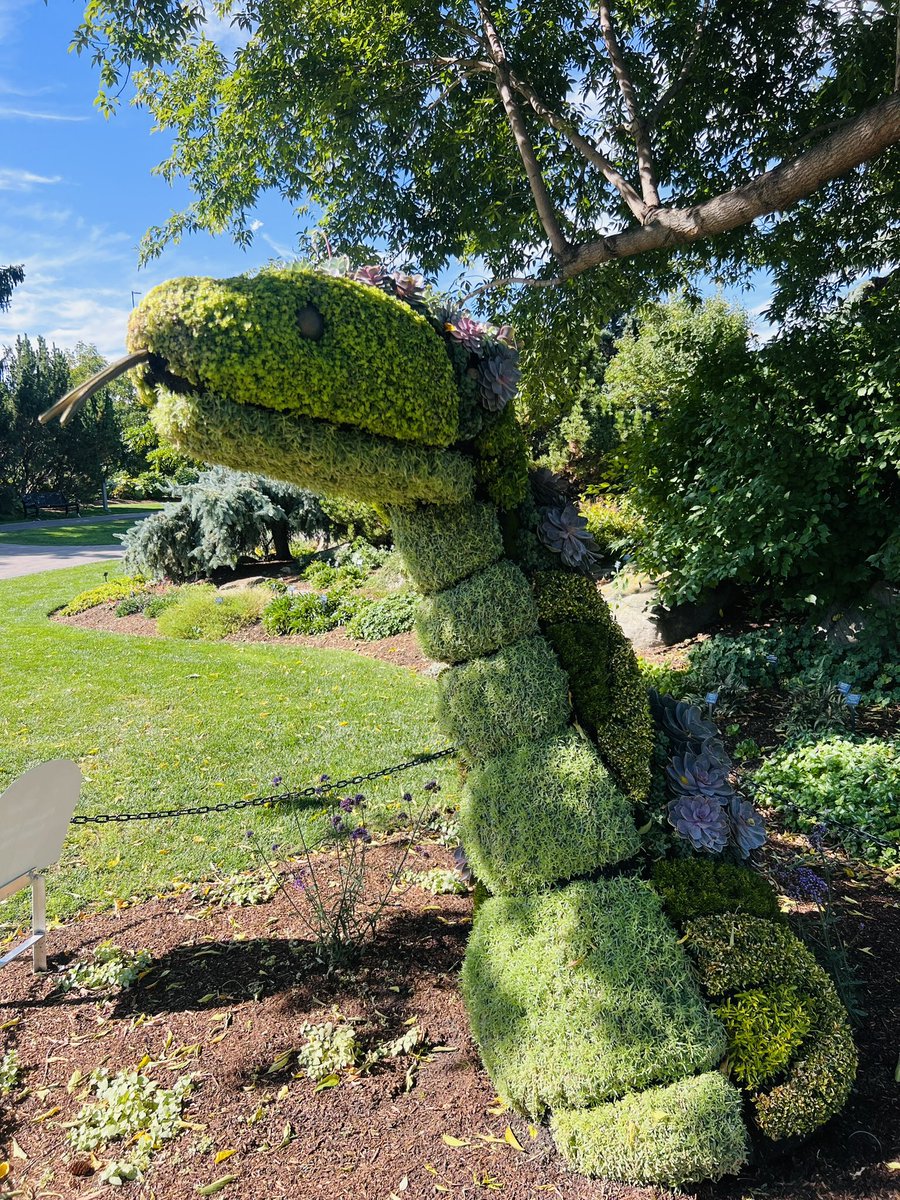 photo4view's tweet photo. A cobra made entirely of living plants @thecalgaryzoo
.
.
#calgaryzoo #calgary #yyc #yycnow #yycliving #yyclife #calgaryisbeautiful #yycbuzz #calgaryalberta #calgarylife #calgarynow #calgaryviews #yycblogger #shoplocalcalgary #calgarybusiness #airdrie #calgaryfood #zoo https://t.co/OBPQnAtTxV