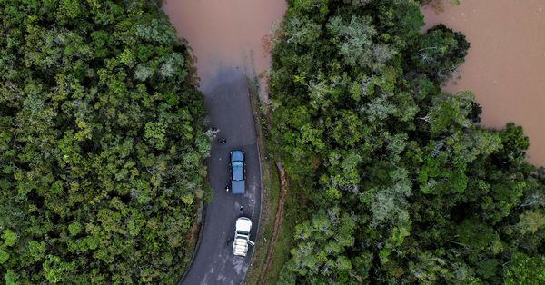 BRAVENEWEUROPE1's tweet photo. Rather than negotiating social and technical investments, the Nairobi Climate Summit further endorsed the suffocation of Africa for Western  benefits

Zikora Ibeh – Auctioning off Africa’s last hinterland

https://t.co/JVLDq50bIe

#ClimateEmergency #Africa #Nairobiclimatesummit https://t.co/HDe4UI5CNu