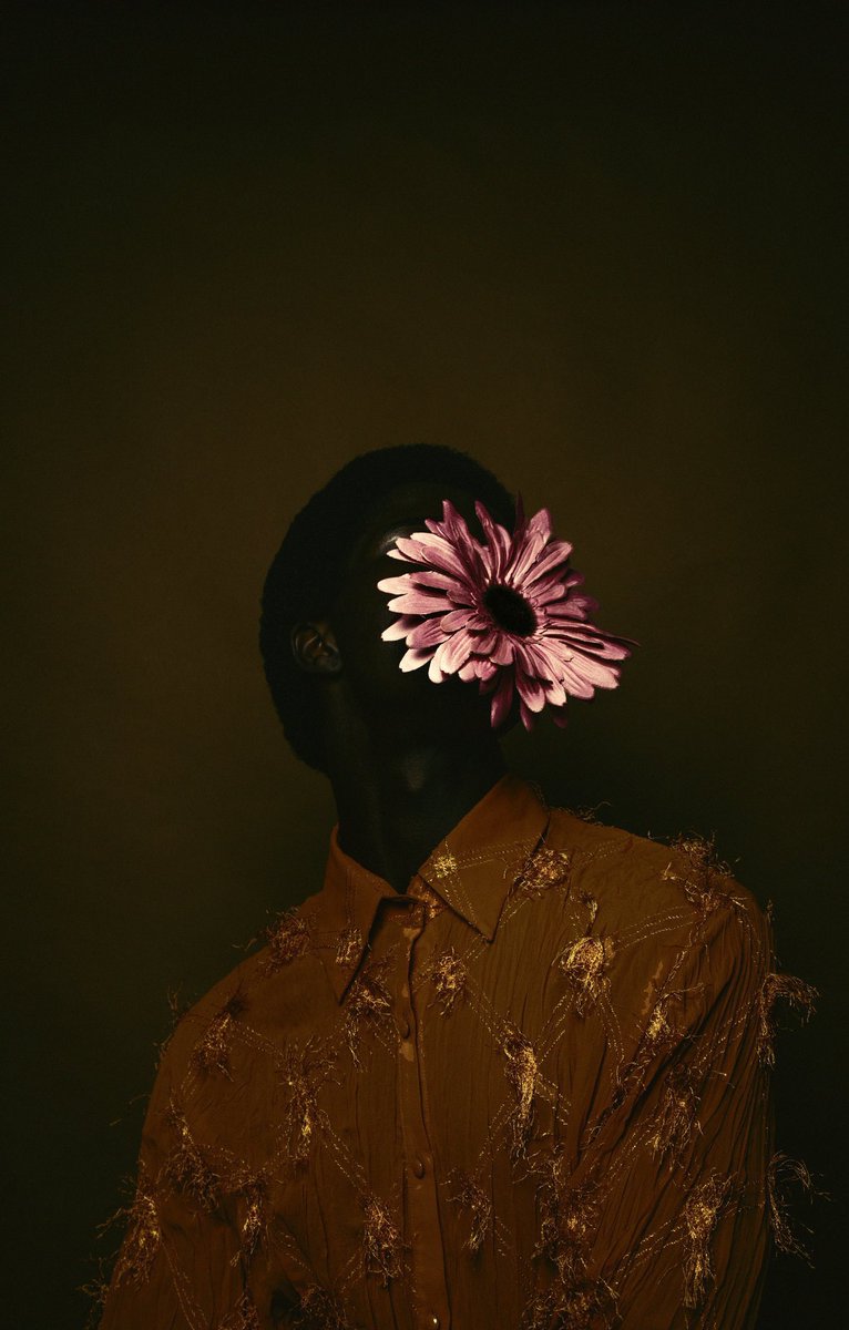 thejpgvibe's tweet photo. ‘seed of gratitude’ 📸 jordan blake https://t.co/gKv1SXCcYs