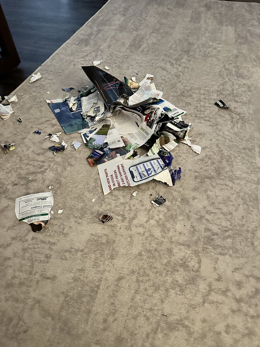 Kyle Foreman tweet media