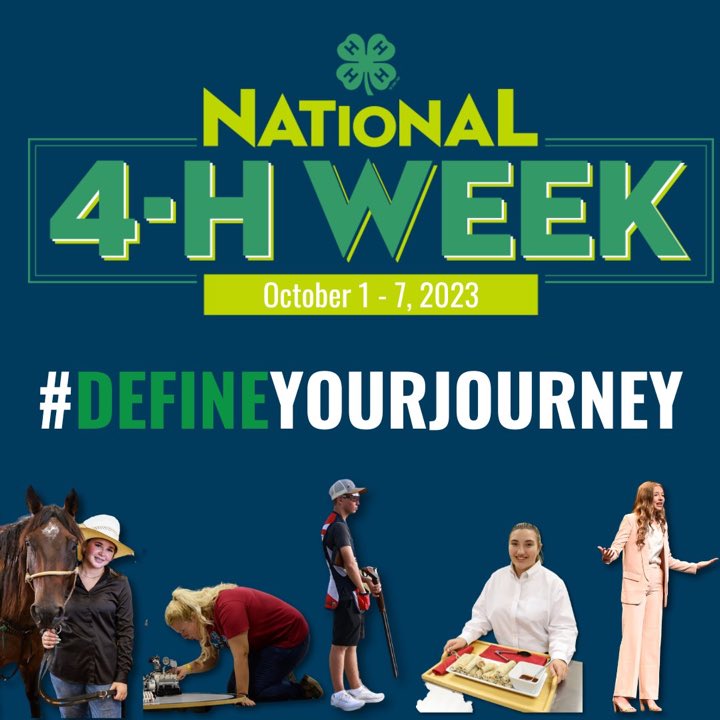 Brandi M Gilbreath (@brandimygil) on Twitter photo 