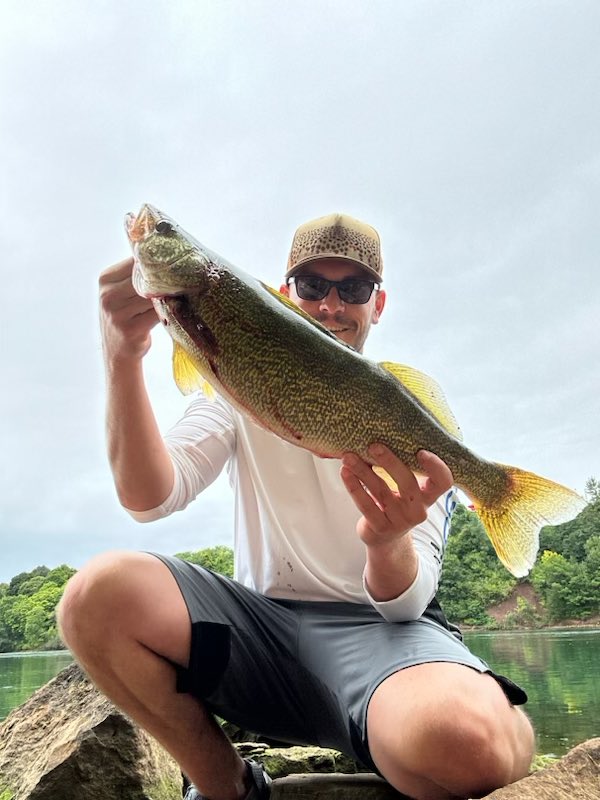 Jeff Moore tweet media