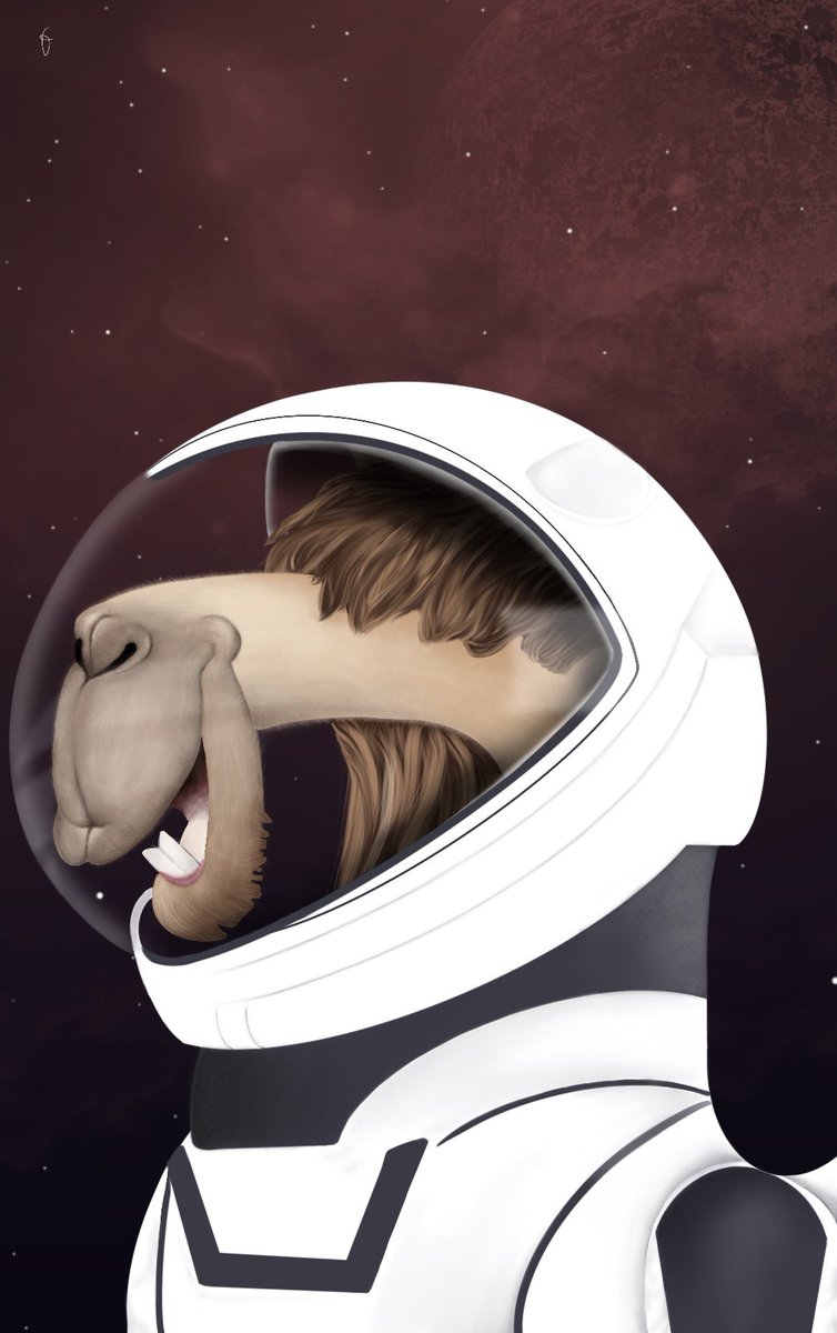 Farimah Ghasemi tweet media