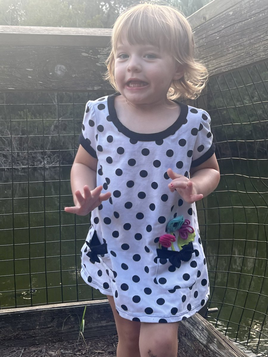 ColesEcoles90's tweet image. Turtle fishing #radwagon4 🐢🐢 #radrunnerplus