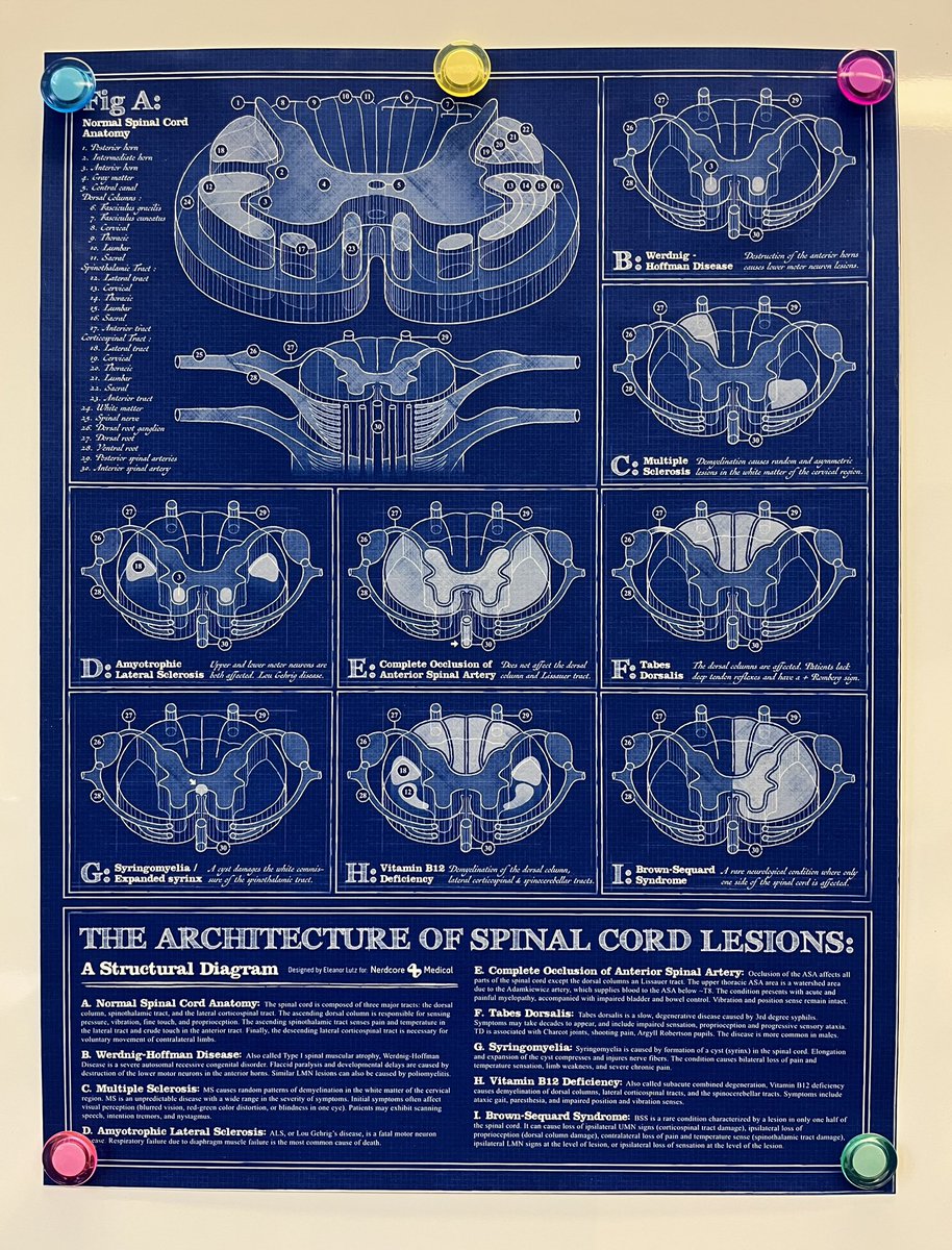 Mikaela Stiver, PhD tweet media