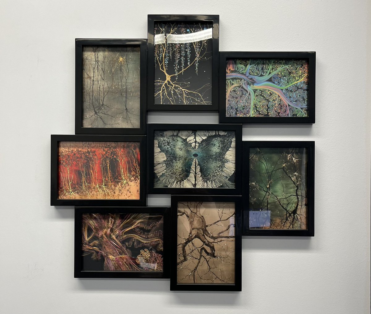 Mikaela Stiver, PhD tweet media