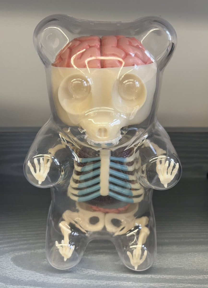 Mikaela Stiver, PhD tweet media