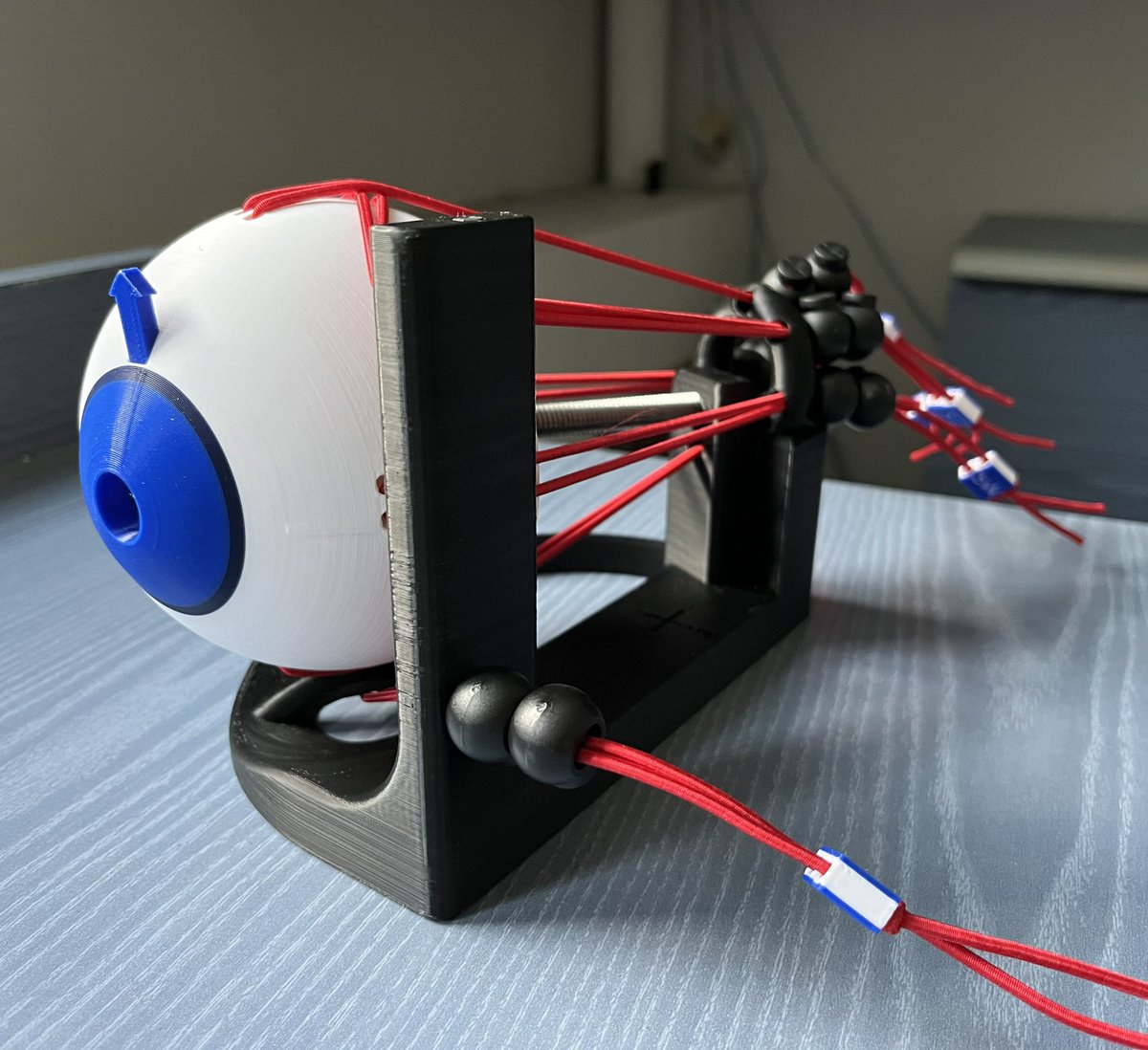 Mikaela Stiver, PhD tweet media