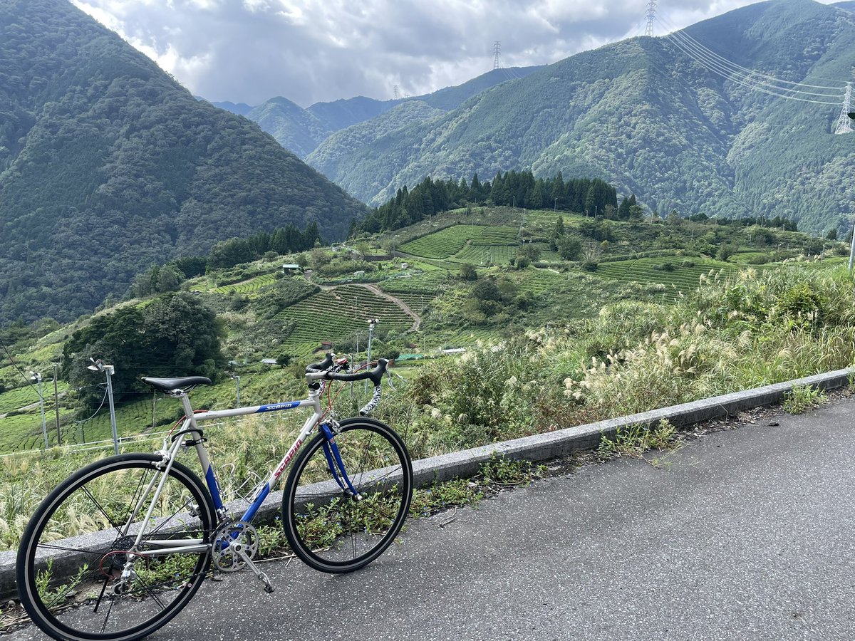 n0ri01983's tweet photo. 天空の茶畑(2023/9/15)

ビンディングシューズで20分の山登りは流石にいろいろと痛めそうなので頂上は断念！！

#ロードバイク 
#天空の茶畑
#岐阜のマチュピチュ https://t.co/FWNmrQK10J