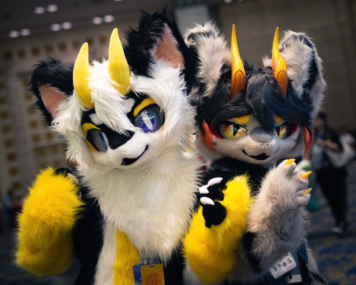 #FursuitFriday
好耶是和大帅龙贴贴✧(◍˃̶ᗜ˂̶◍)✩
📷 @dreameol85783