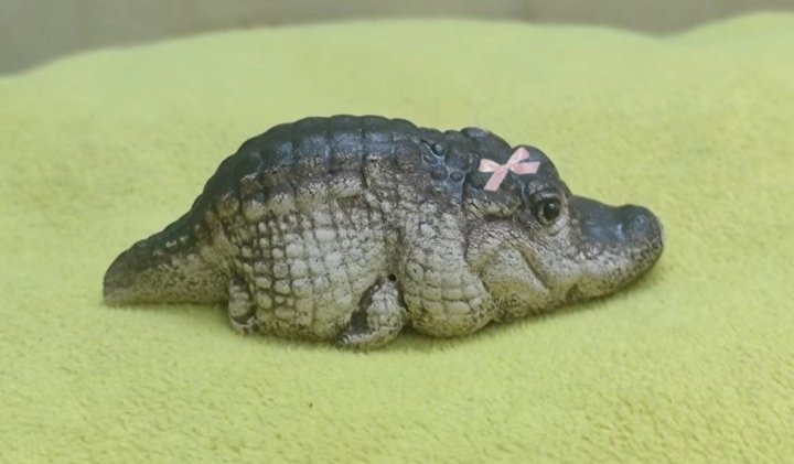 lockball's tweet image. สักวันฉ้าาาานจะโต...
_______________
ยูสใหม่แตกง่าย​ แจกจริง​ ถอนไว
ร่วมสนุกเลย... lucky895.com/txdv