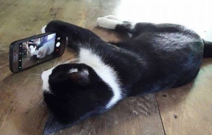 lockball's tweet image. ส่องหาหนุ่มๆ​แต่ไม่มีใครทักเราเลย​...อยากบอกว่าโสดอยู่น่าาา
_______________
ยูสใหม่แตกง่าย​ แจกจริง​ ถอนไว
ร่วมสนุกเลย... lucky895.com/txdv