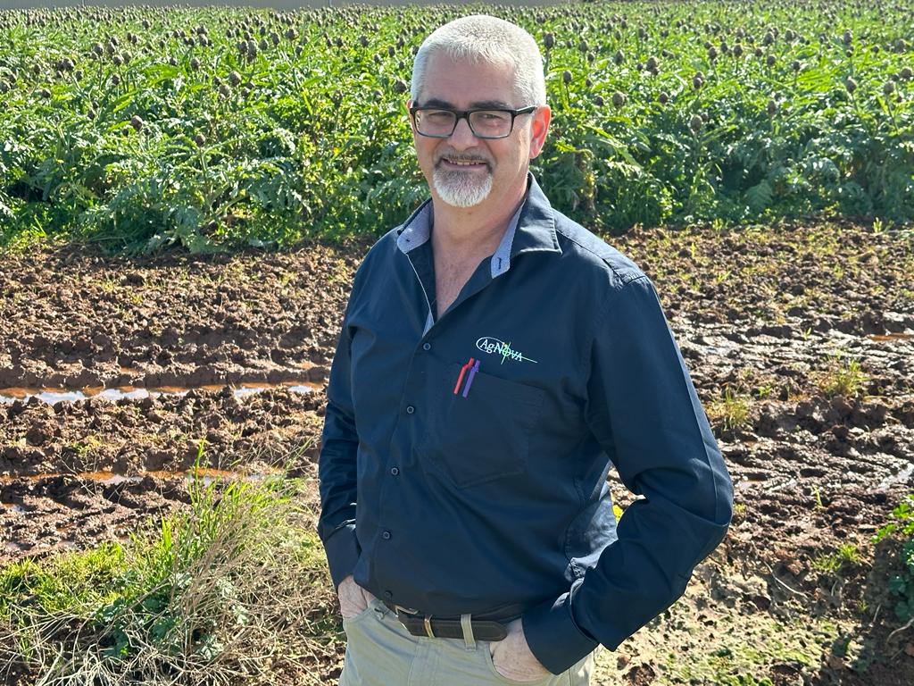 agnovatech's tweet photo. AgNova's New Zealand Country Manager, David Chamberlin, out and about inspecting Werribee South's lettuce and artichoke production. #kenja https://t.co/J2u9yOsN53