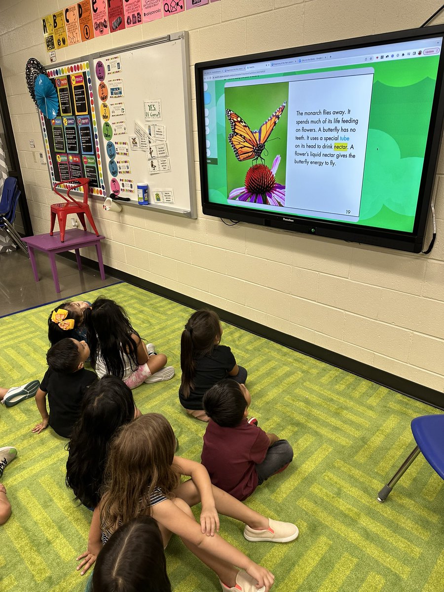 ChrystalBurkes's tweet photo. Learning about FICTION &amp; NONFICTION books in library. This will prepare them for self check in and placing the books in the correct sections to be reshelved too. ❤️ We used @scholastic Bookflix to teach the lesson. #elementarylibraries #teacherlibrarians #bookflix #library https://t.co/bwo6GXCuQZ