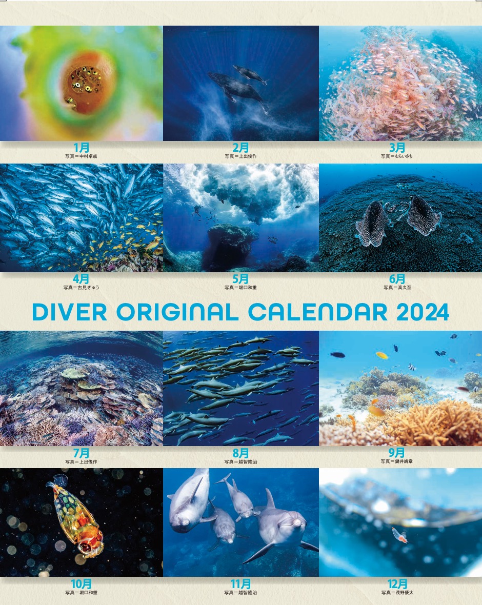 divermag_jp's tweet photo. ＼本日より予約販売をスタート‼️／ 「DIVERオリジナルカレンダー2024」 毎年完売となるDIVERのカレンダーは、美しい海写真がポスター感覚で楽しめる、全13枚つづりの壁掛けカレンダーです👏みなさまからのご予約をお待ちしています🐬　https://t.co/2KmrRTdICn https://t.co/mjvRM3is6d