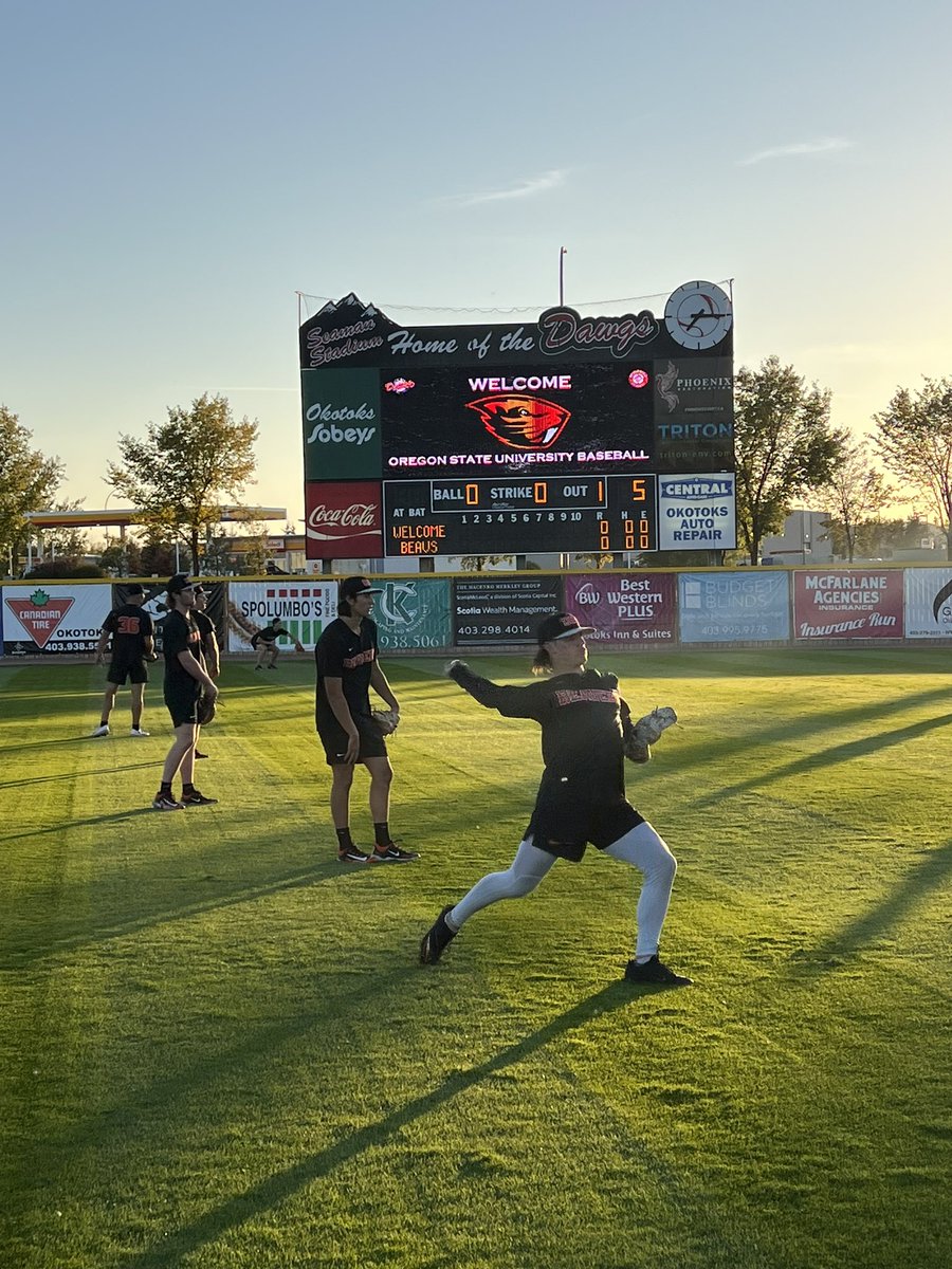 Beautiful night in Okotoks #GoBeavs