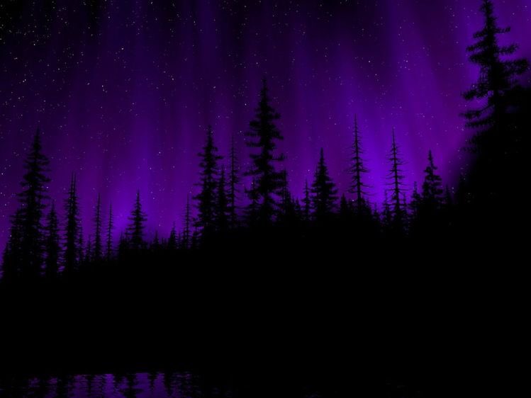 violettweets_'s tweet photo. deep purple vibe. https://t.co/hbYEexpHIM