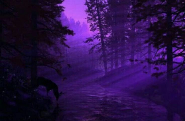 violettweets_'s tweet photo. deep purple vibe. https://t.co/hbYEexpHIM