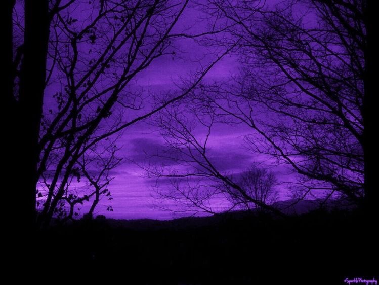 violettweets_'s tweet photo. deep purple vibe. https://t.co/hbYEexpHIM
