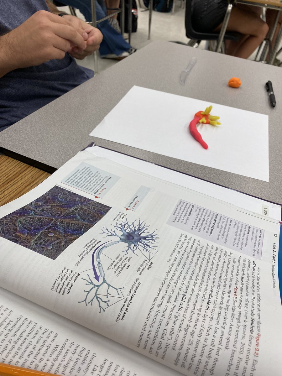 Heather Schuster tweet media