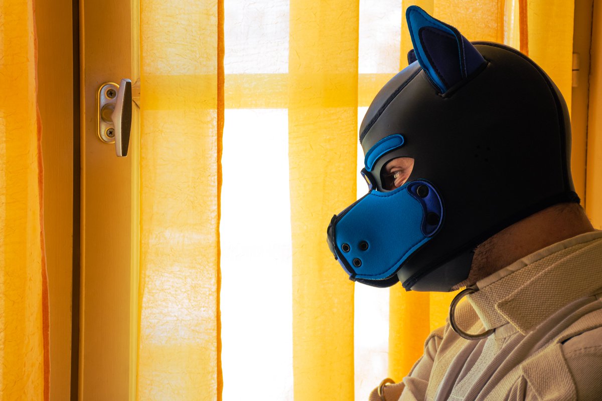 Watching cars pass by, hard to decide which ones to bark at...

Lovely picture by <a href="/PupEir/">Pup Eir</a>