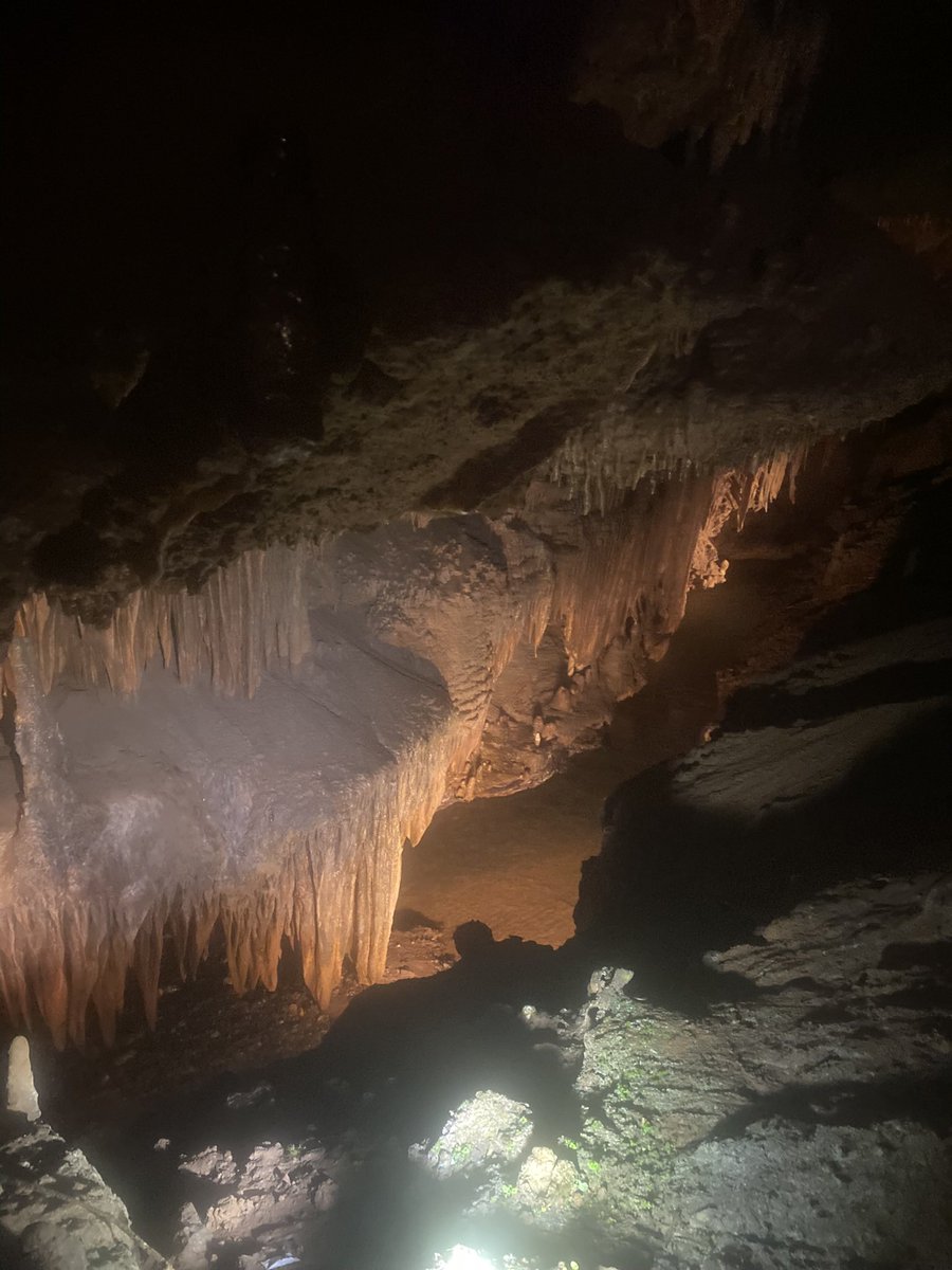 KnightmareAus's tweet photo. @_mymusictaste @hf_dreamcatcher A dark and beautiful cave in Tennessee that reminds me of Dreamcatcher’s dark concepts and beautiful voices 

#From_us_to_DREAMCATCHER https://t.co/GjHeiA7h86