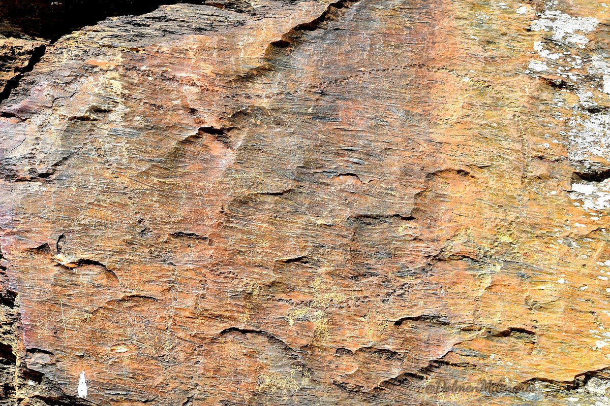 -¡Hola! Soy el caballo piqueteado de la estación rupestre de #DomingoGarcia (Segovia, 🇪🇸). Tengo 19.000 años. Pertenezco al #Paleolítico Superior (#Solutrense). Puedes verme acompañado de otros muchos grabados elaborados en distintas épocas.