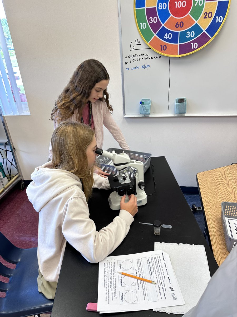 Alisha Hogg 🐬 tweet media