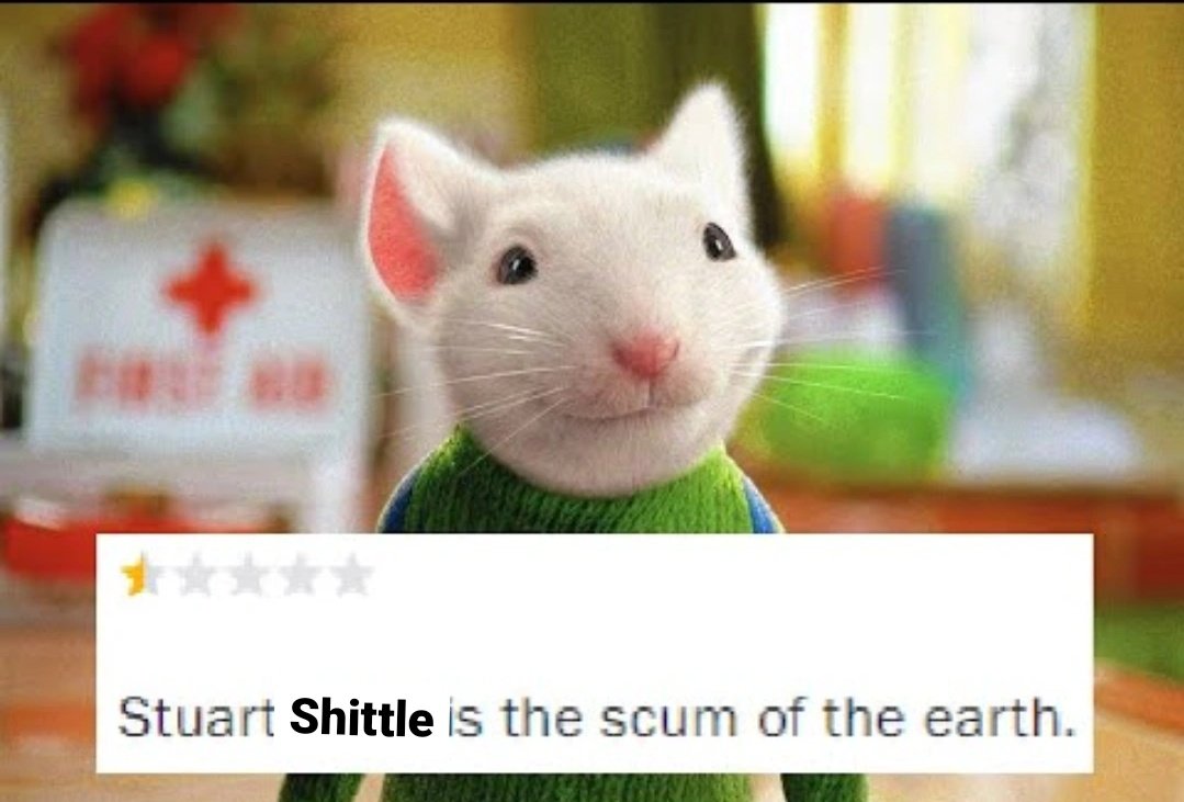 We currently have a mouse "guest" in our house (😭). His name is Stuart Shittle &amp; he's one smart cookie 😅

Stuart loves to scurry around the walls at night, and... all around our living room apparently!? 😬

help