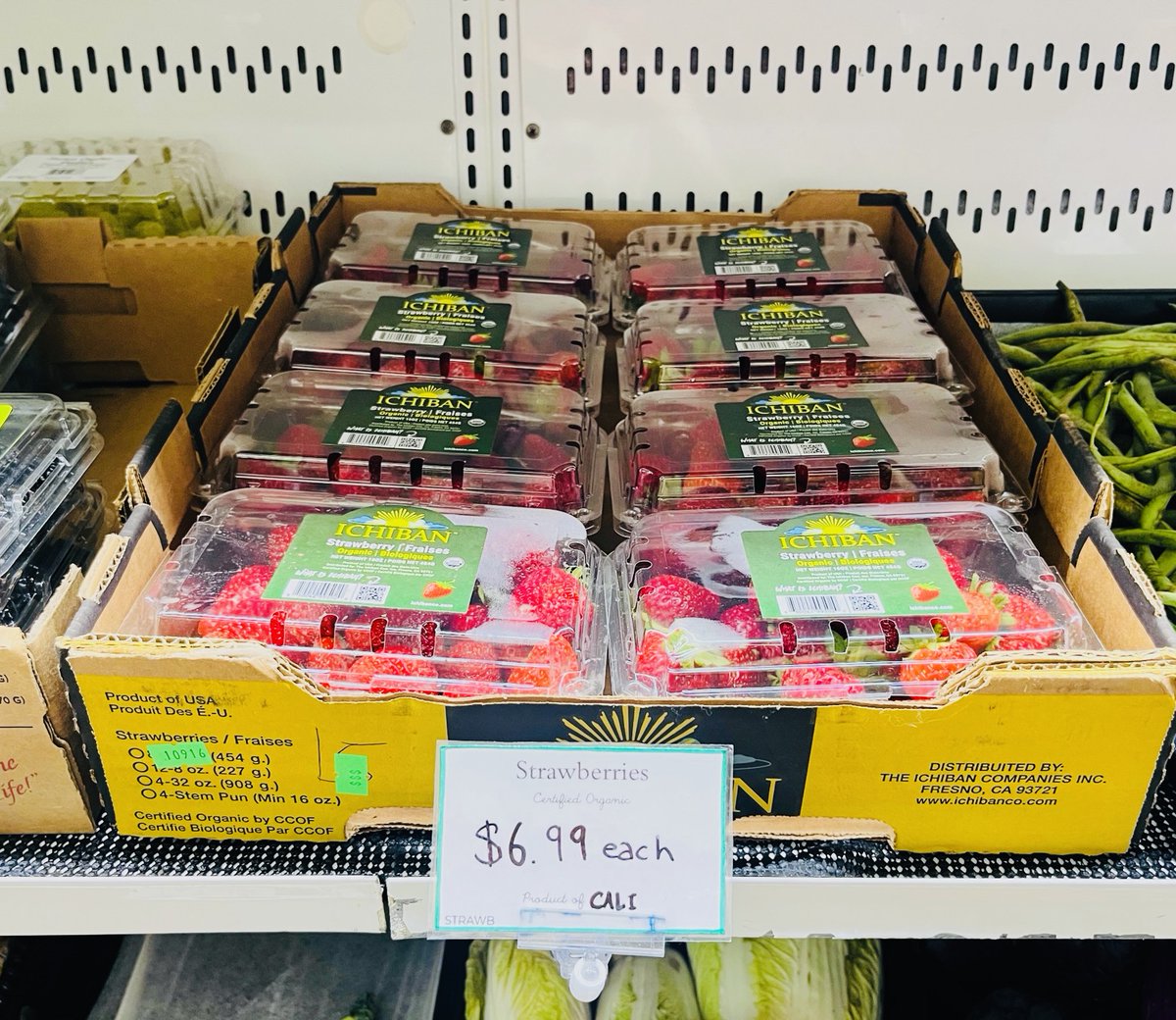 Earth's General - Waste Reduced Store tweet media