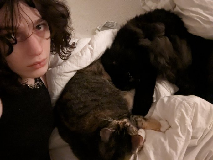 it's chill https://t.co/QkfkeYjNDD