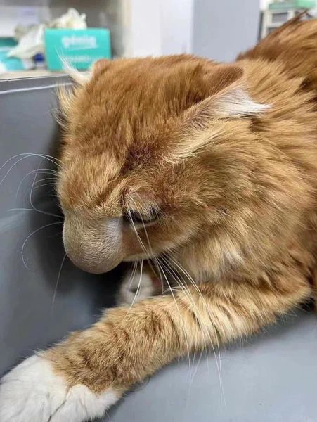 positivityofx's tweet photo. I told you "Don't play with bee!" 😔😞 https://t.co/cQ7Z1RVMIO