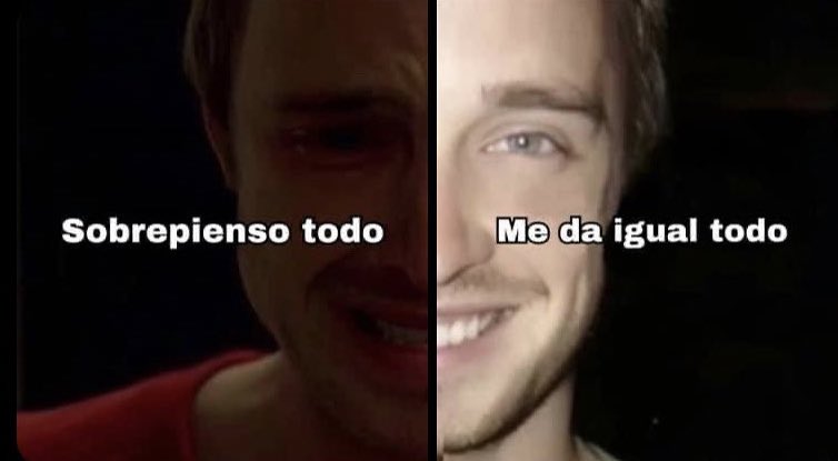 mis dos moods