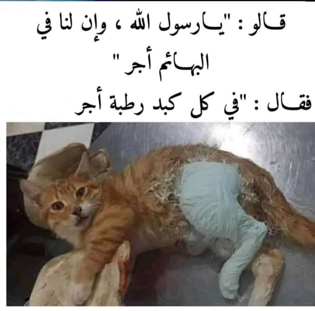 Rahmah_002's tweet photo. https://t.co/Cnl1UZbF2I