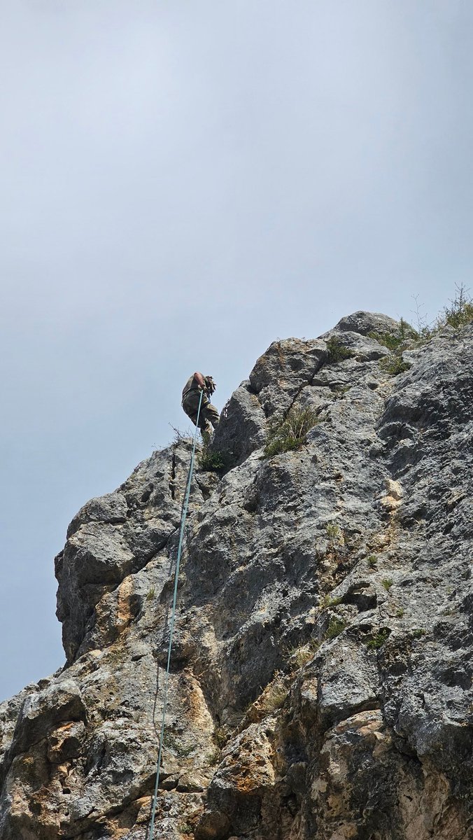 4 PWRR Tigers tweet media