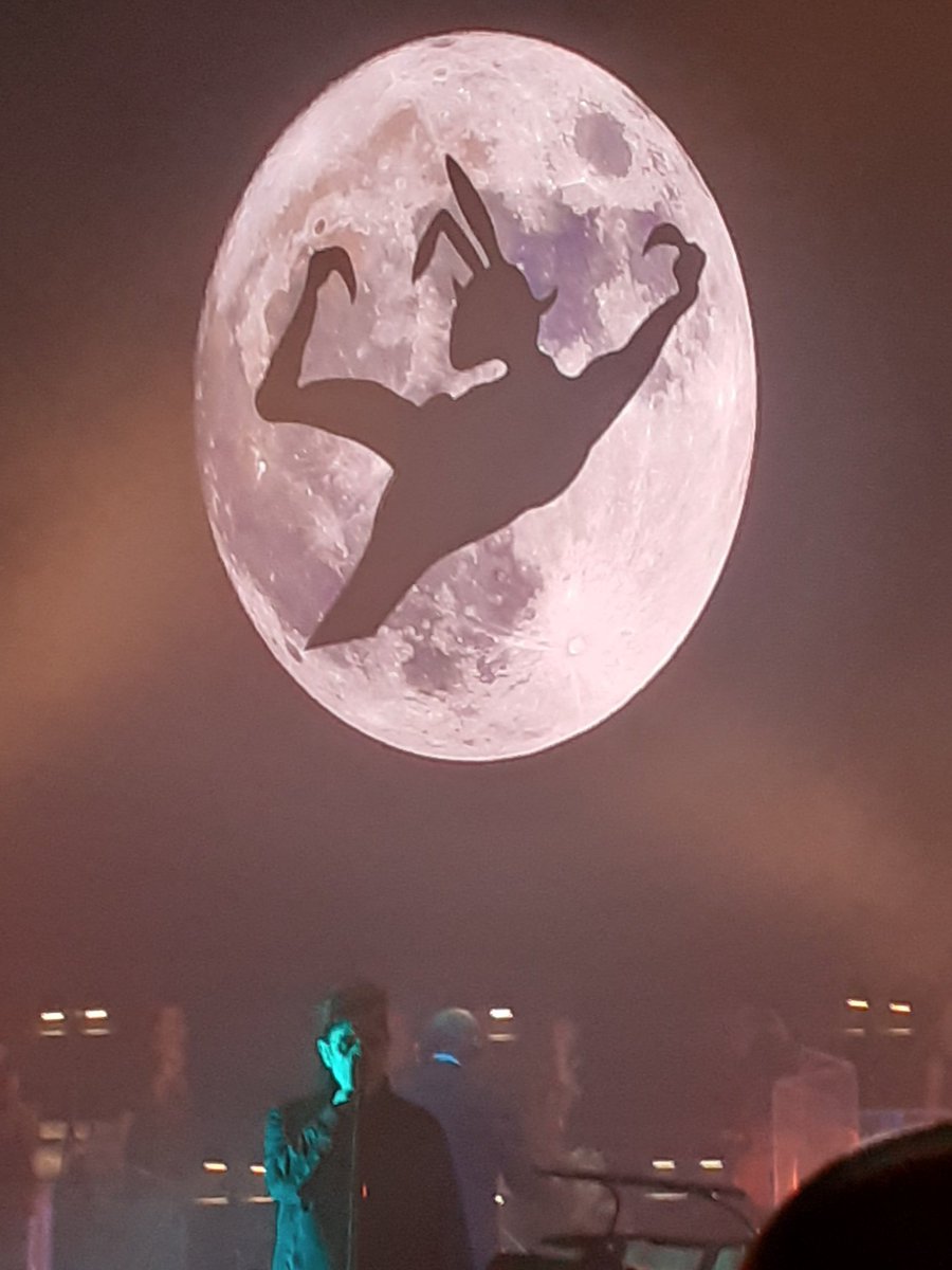MartinCavanagh8's tweet photo. What a night https://t.co/tvPDOmD7v2