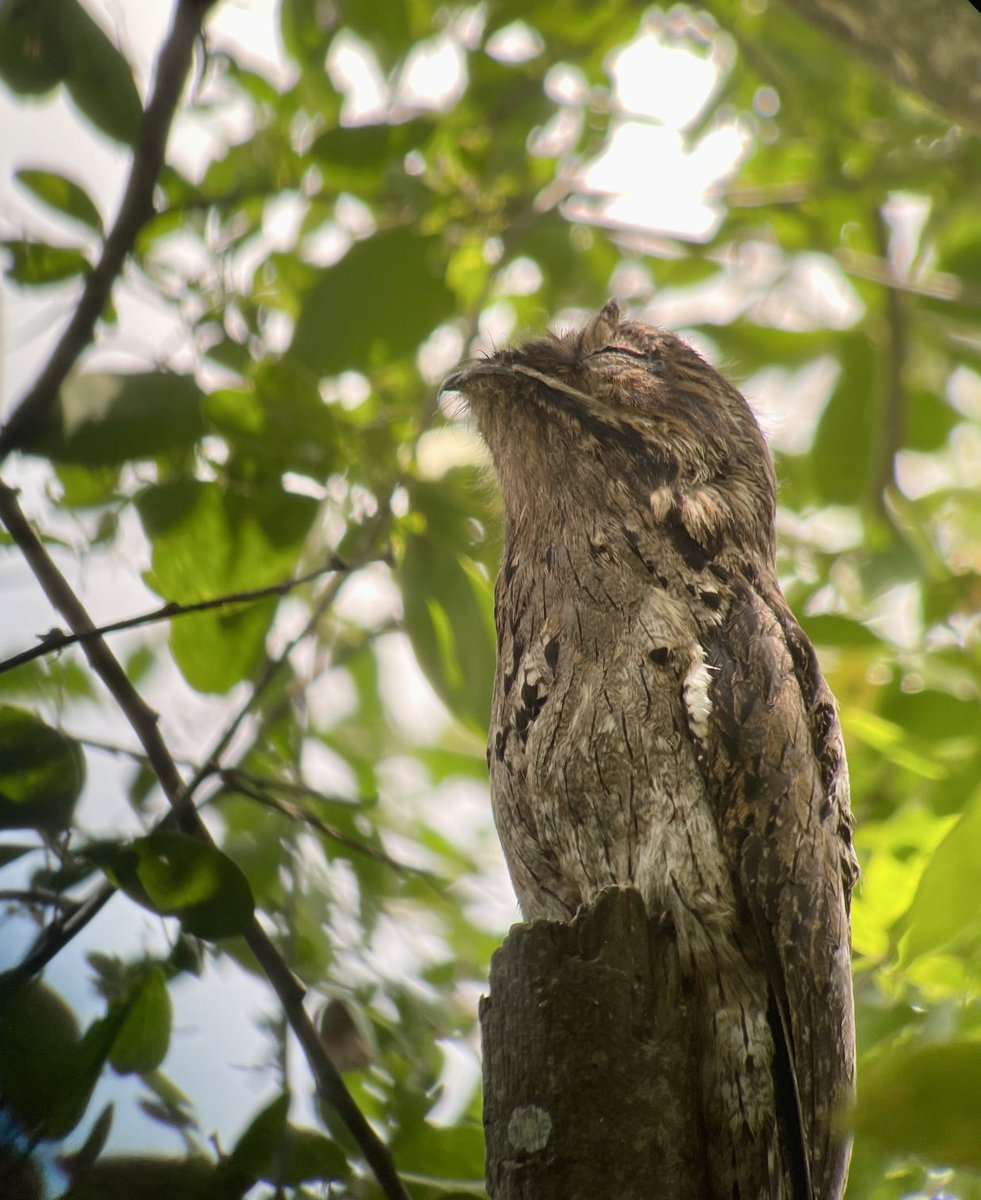 Jim Mathews 🇺🇦 🚛😵👻👍 tweet media