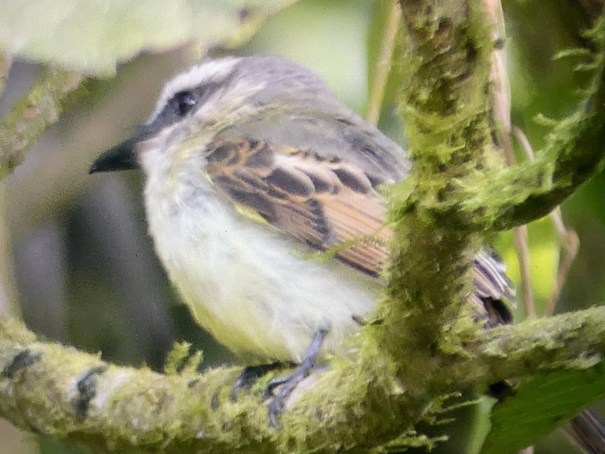 Jim Mathews 🇺🇦 🚛😵👻👍 tweet media